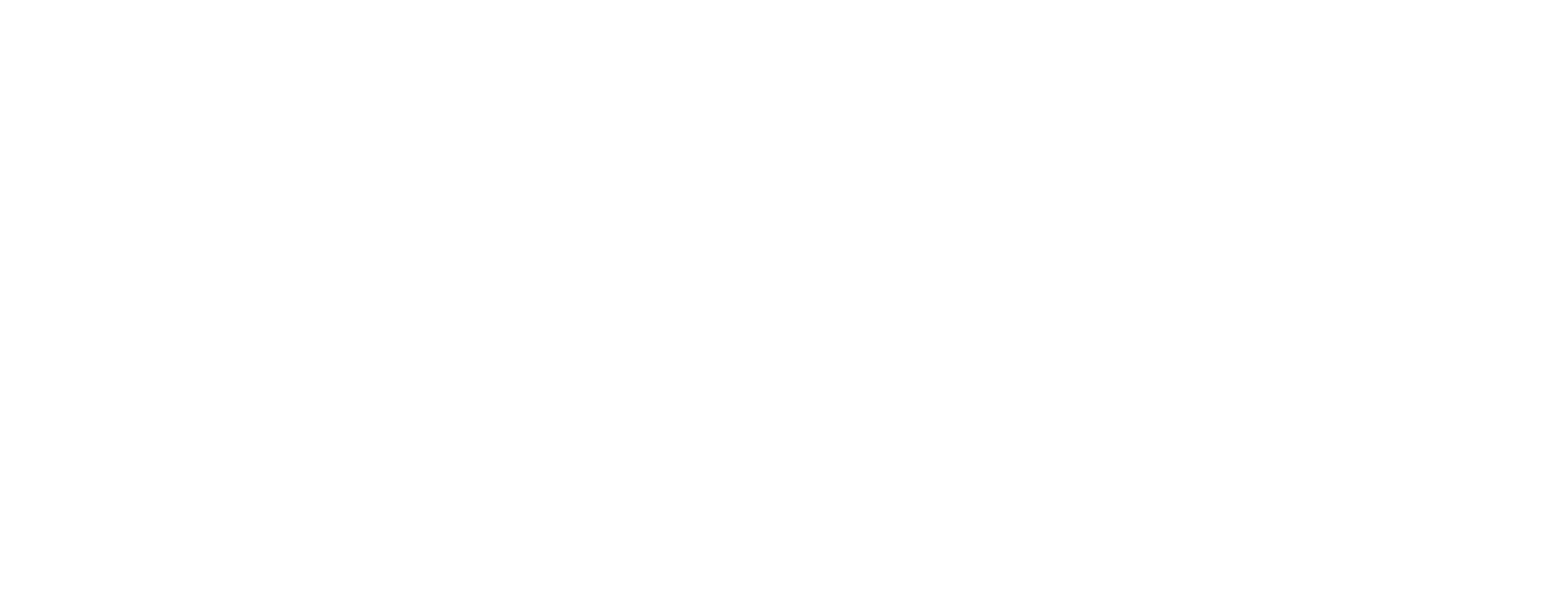 VSDNA